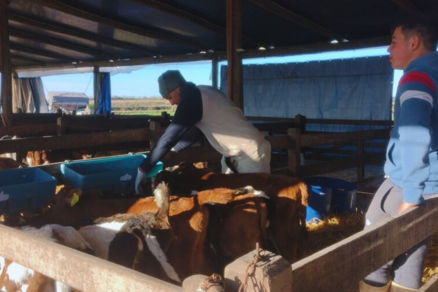 Escuela de Crucecitas Séptima realiza pasantías en empresa agropecuaria