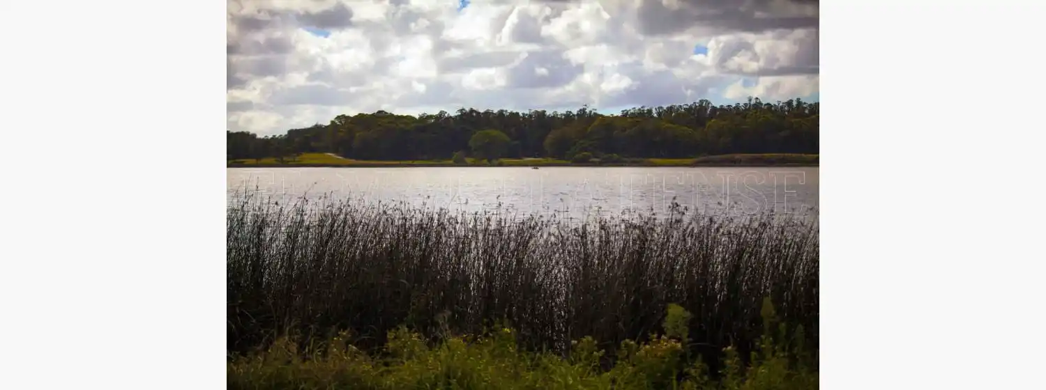 Laguna de los Padres, abandonada: "Falta creatividad, gestión municipal y fondos"