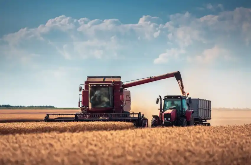 Cómo es el panorama general del campo argentino según las regiones