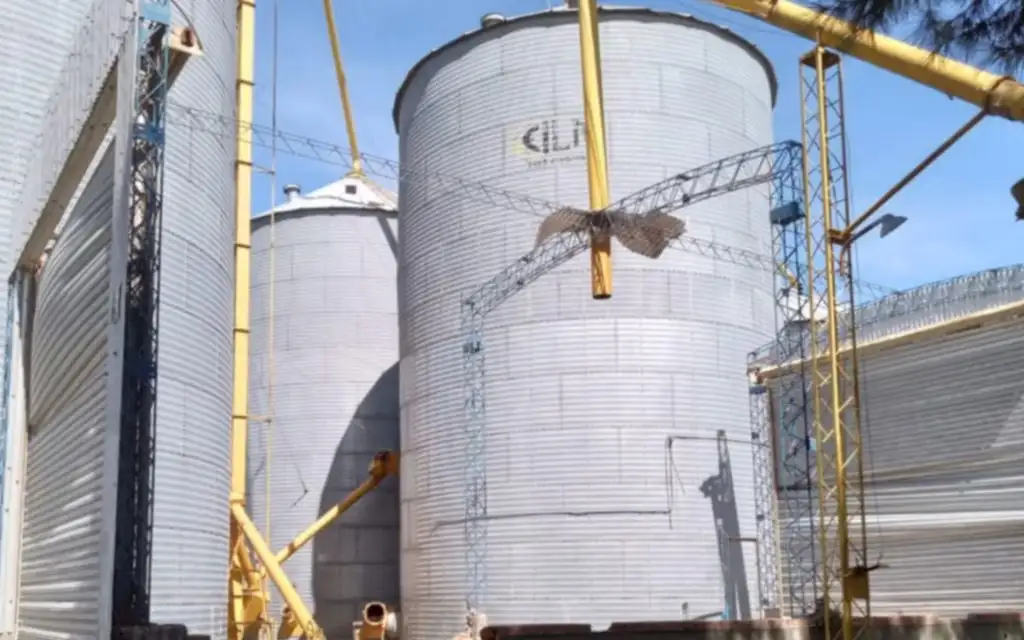 El nene había ingresado al silo con intenciones de jugar. (Foto: gentileza La Voz de Tandil).