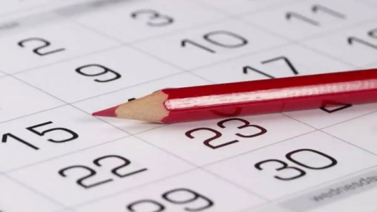 Noviembre trae dos fines de semana largos: todo lo que tenés que saber