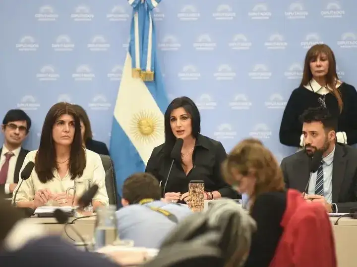 Diputada Juliana Santillán.