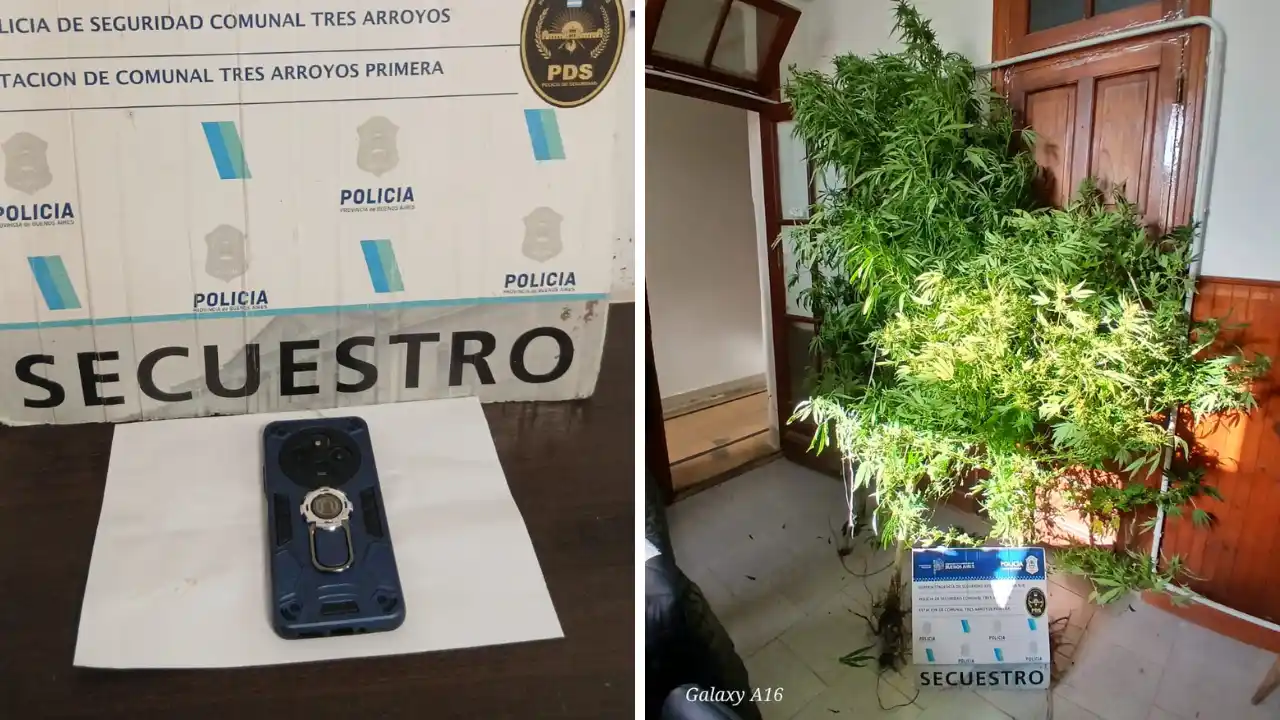 Recuperan un celular robado mediante geolocalización y secuestran más de ocho kilos de marihuana