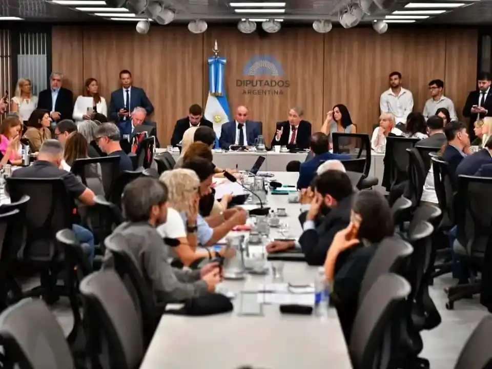 Las audiencias públicas permiten la participación ciudadana.