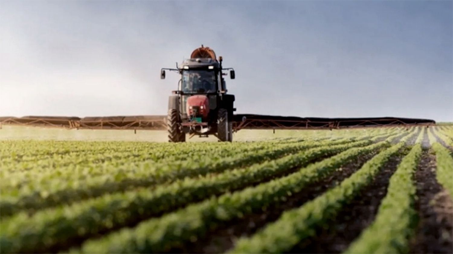 Las exportaciones agroindustriales crecieron 25% hasta los US$ 19.500 millones