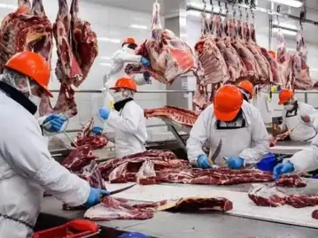 Faena bovina en julio sube 9,8 %, pero producción de carne crece más lento