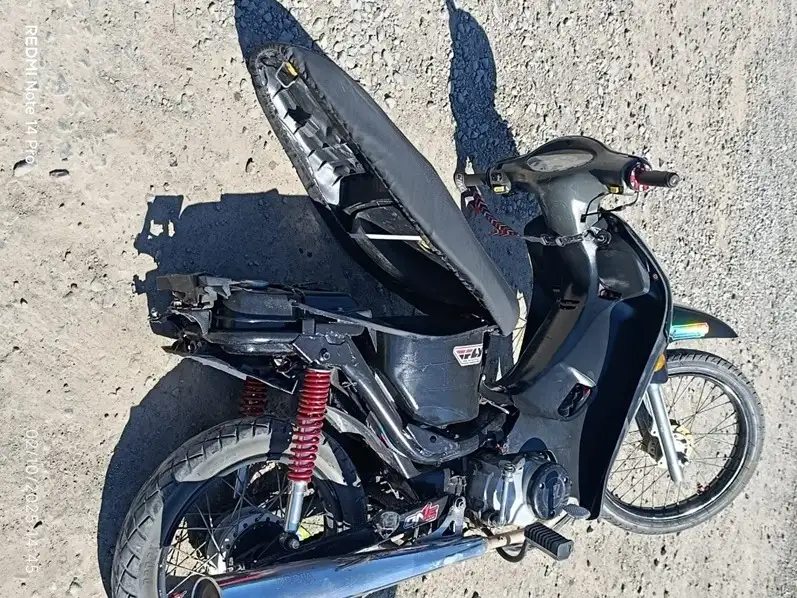 accidente venado - 2