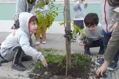 “Gualeguay Te Quiero Verde” redobla la apuesta para el arbolado urbano