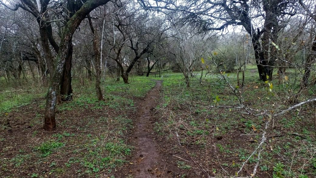 Reserva Natural del Espinal (El Tío)