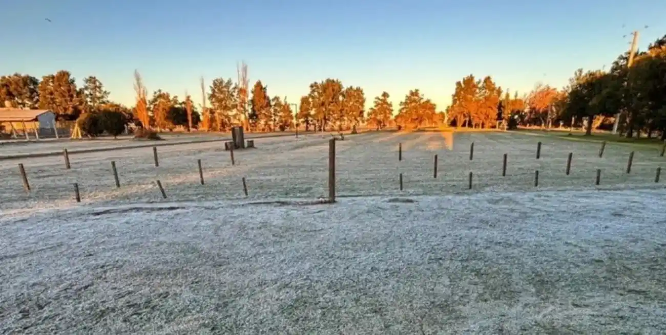 Bajo heladas intensas y condiciones secas, avanza la siembra de trigo con altas expectativas