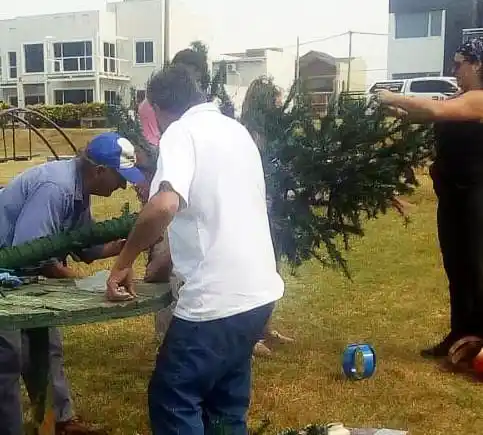 Colocaron el árbol de Navidad en la plaza 3 de Agosto