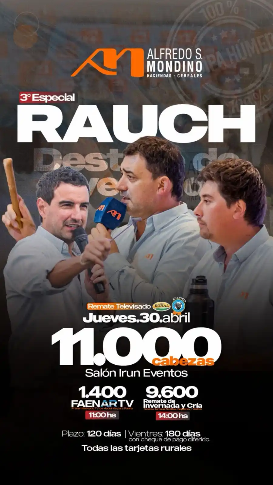 rauch mondino