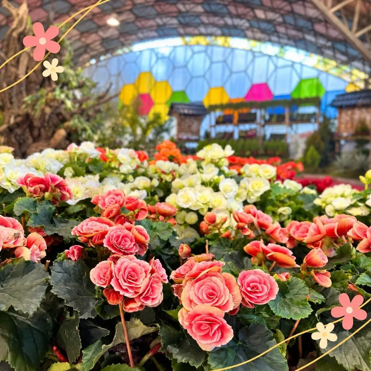 La celebración tendrá lugar en el predio Ciudad Floral.