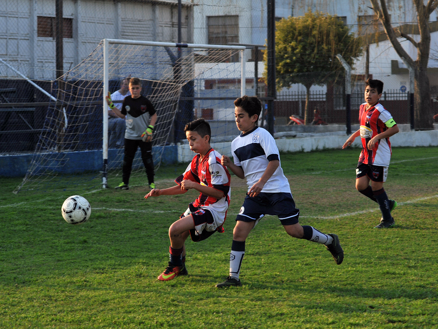 Juegan nueva fecha del Clausura