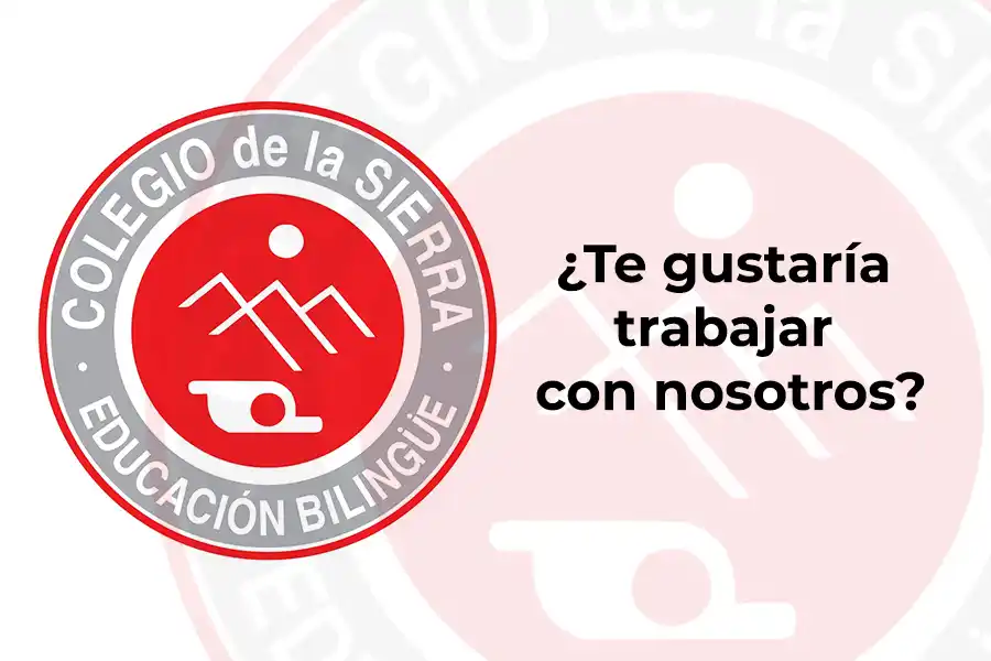 Se buscan maestros y profesores