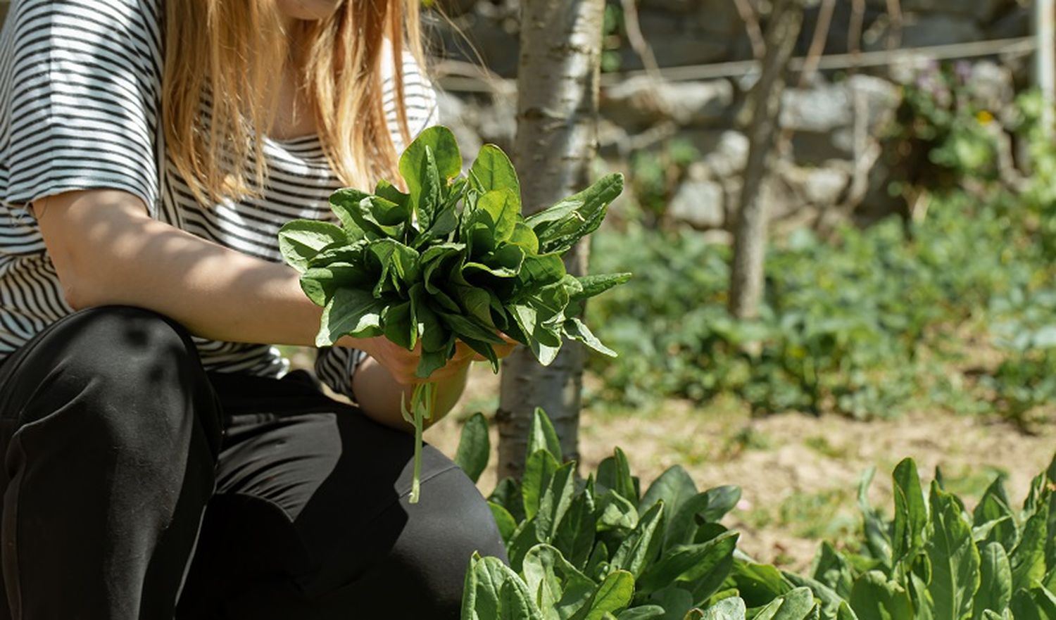 Charla de alimentación saludable en Ituzaingó