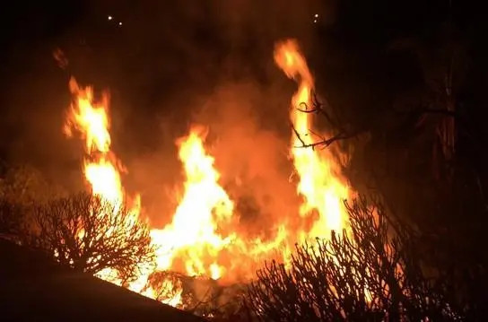 Bomberos combaten incendio de pastos