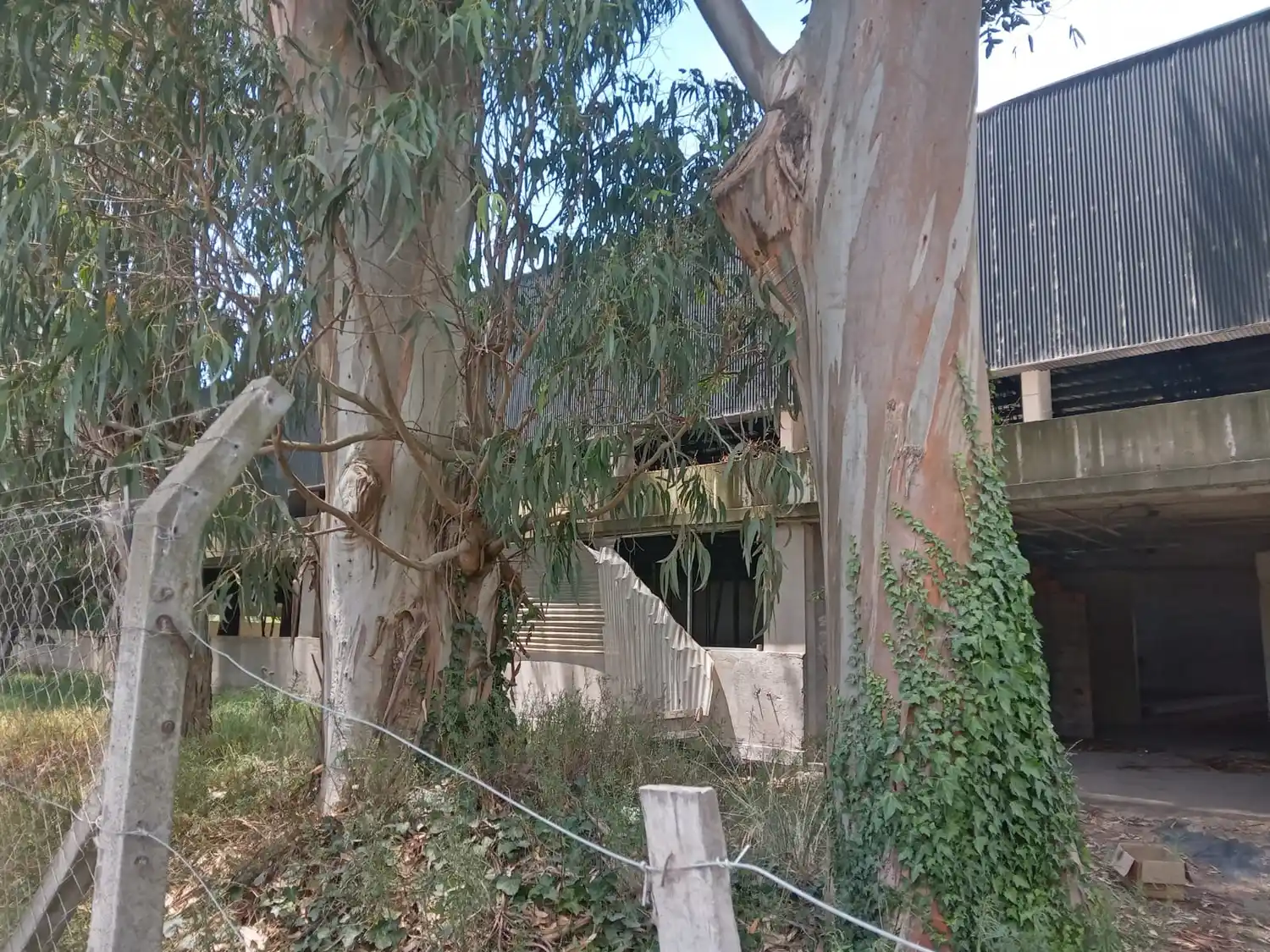 Ecoasamblea del Parque Camet denunció abandono de edificios públicos y espacios verdes