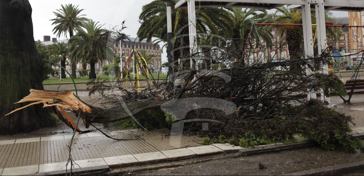 Temporal: barrios sin luz, caída de árboles y una familia evacuada