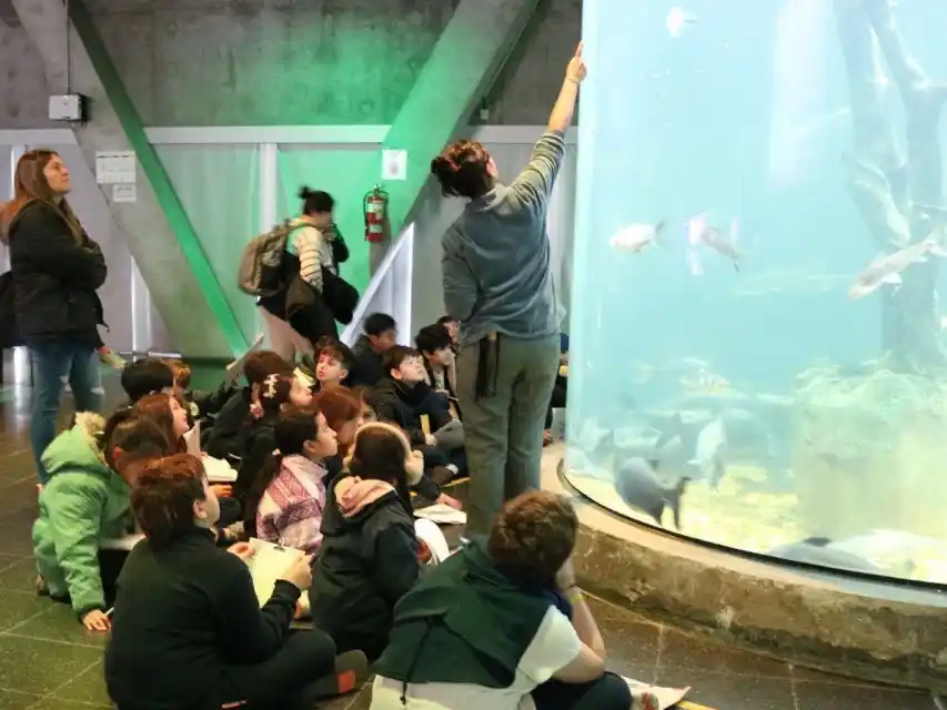 Las propuestas incluyen recorridos guiados, contacto con especies nativas y actividades vinculadas a la ciencia y la conservación del río Paraná.