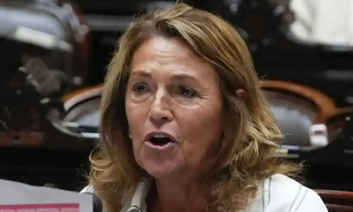 "Corrupción en su estado más cruel": Campagnoli criticó al Gobierno por el escándalo en la ANDIS