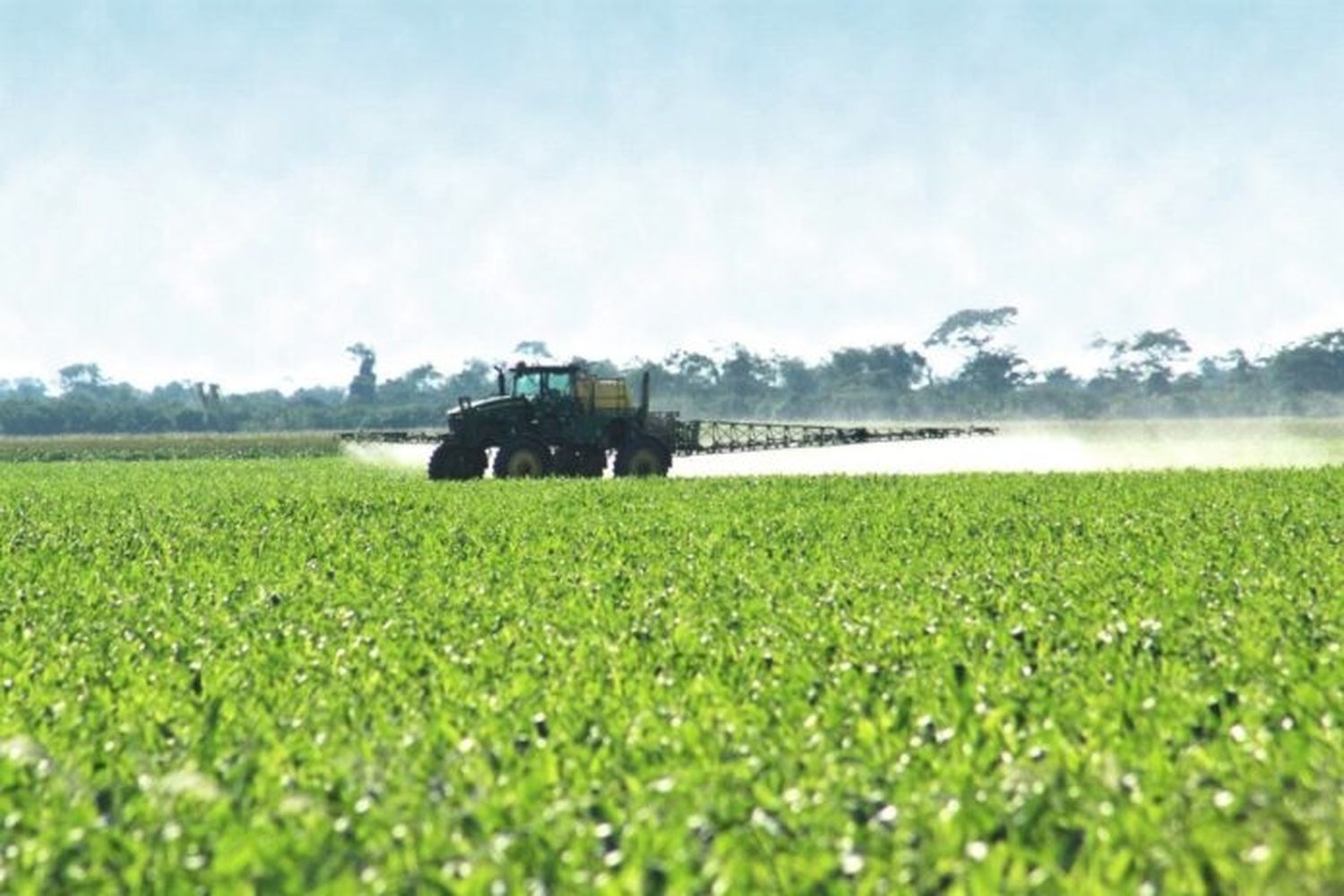 La Provincia prorrogó hasta noviembre la regulación del uso de agroquímicos