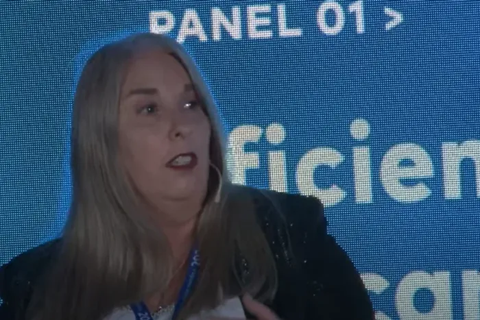 Subsecretaria de Transición y Planeamiento Energético, Mariela Beljansky</p><p>Foto: NA