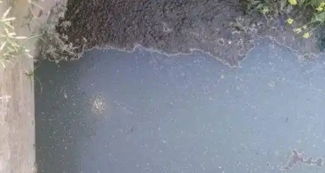 “Un lago de…”