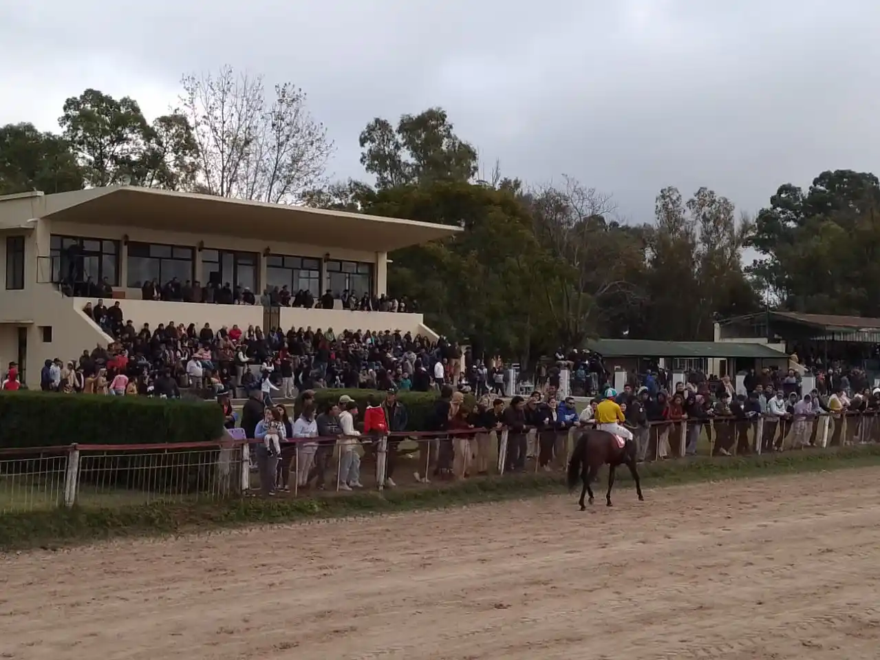 Turf: “El Negro Luis” brilló en el Gran Premio 25 de Mayo