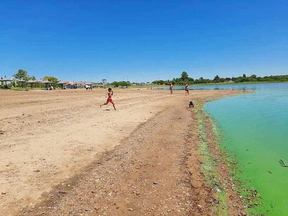 Vecino de Federación mostró en fotos el verdín que afecta a Playa Grande