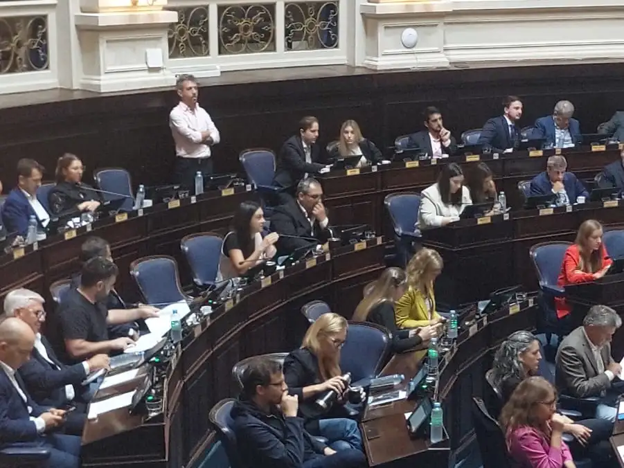 Ayelén Rasquetti expone sobre el proyecto de su autoría en la cámara de Diputados.