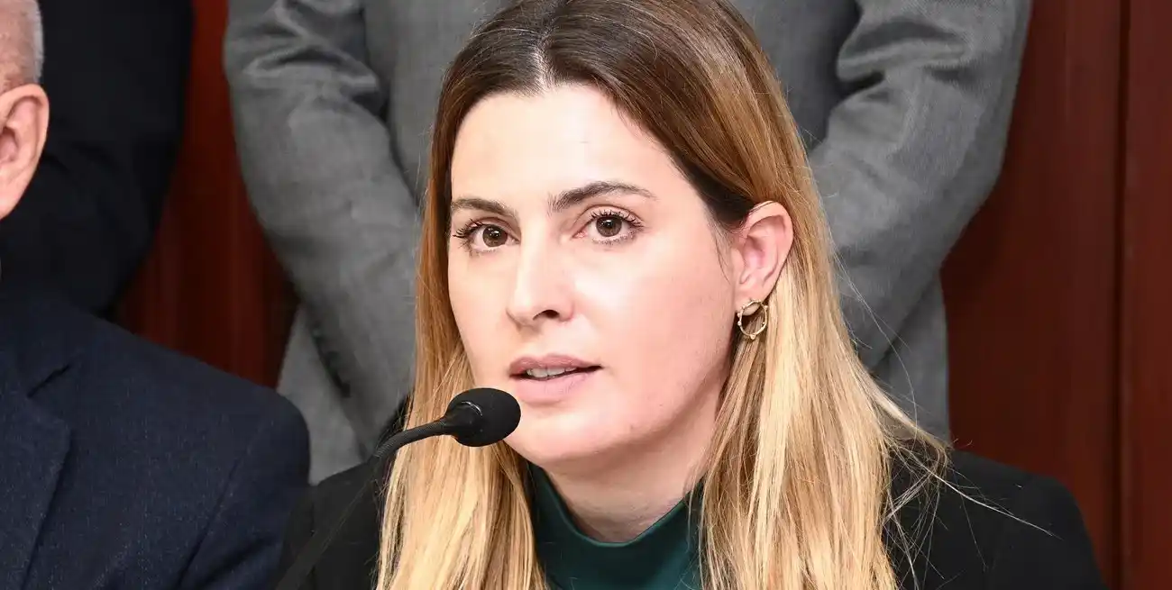Cattalini, presidenta de Asuntos Constitucionales de Diputados.