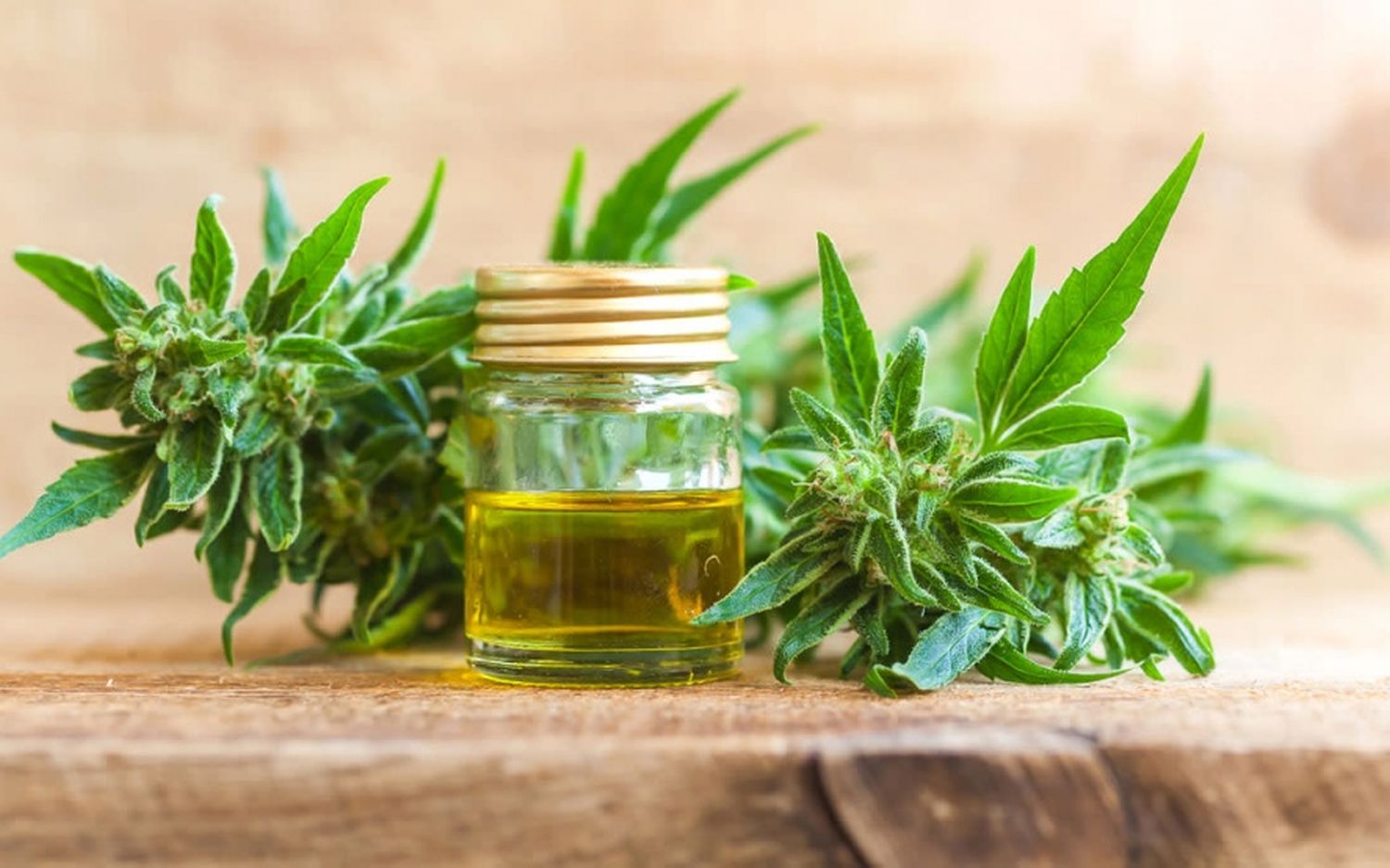 Comenzará a entregarse aceite de cannabis en farmacias de Tandil