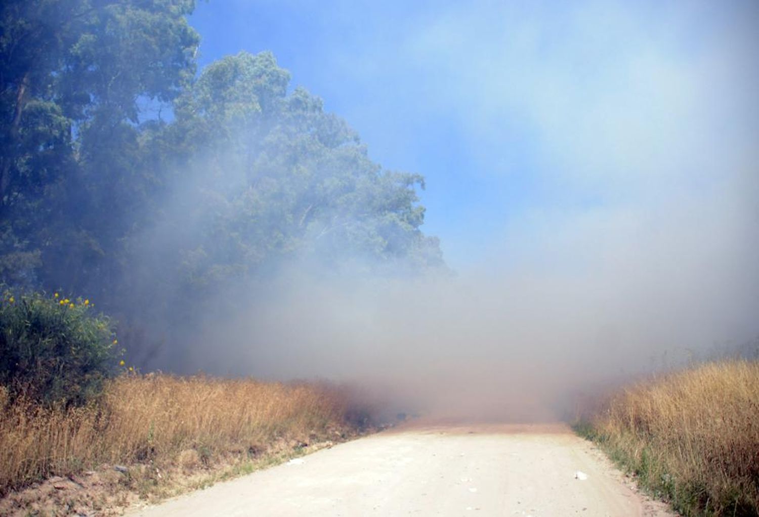 Bomberos trabajaron durante dos horas para sofocar un incendio en la estancia “La Indiana"