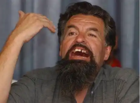 Castells dijo que "irá armado" a las marchas contra Milagro Sala 