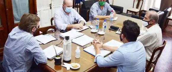 El Plan de lucha contra HLB ya monitoreó 15.000 hectáreas citrícolas