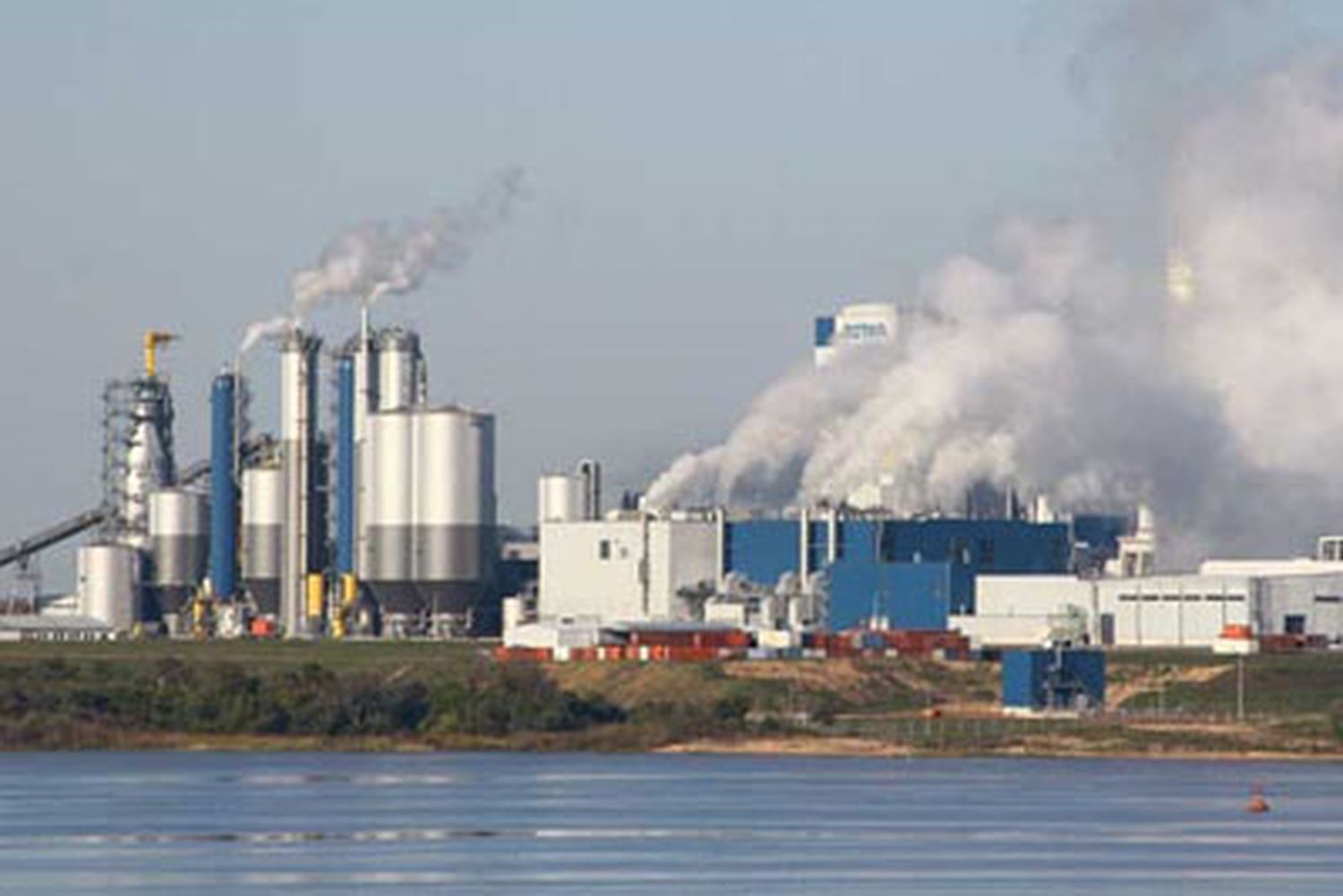 El juez dio lugar al pedido de la Asamblea Ambiental