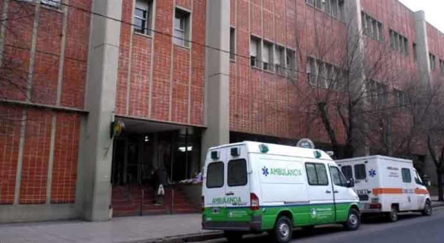 MAR DEL PLATA: Una niña fue atacada por un pitbull y está grave
