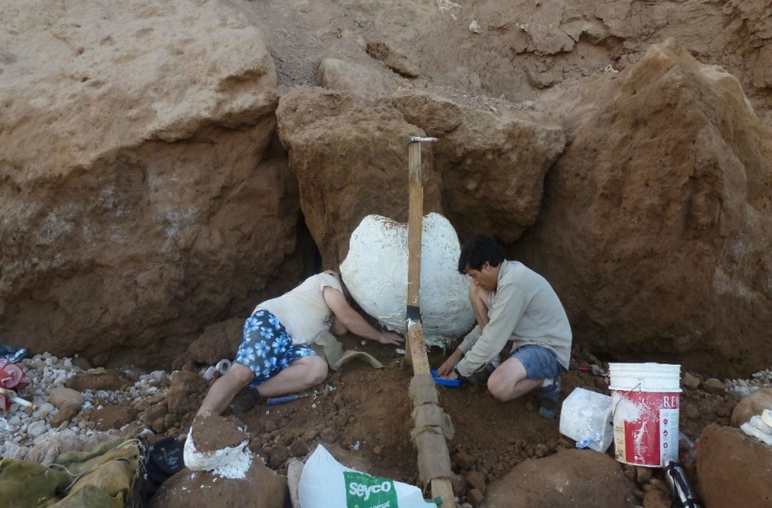 Buscan crear un “Parque prehistórico de la era de hielo”