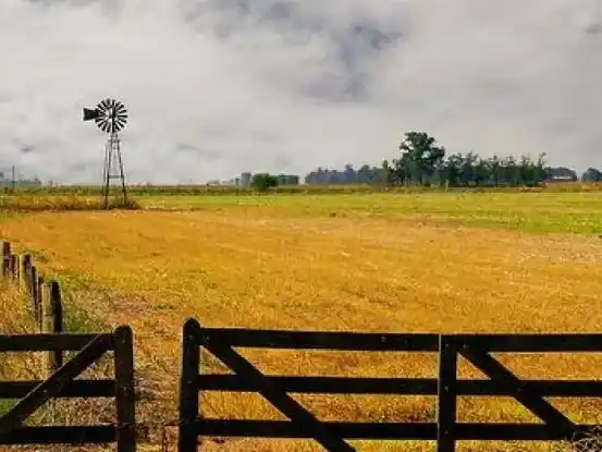 Encontraron otra avioneta abandonada en un campo en Pergamino