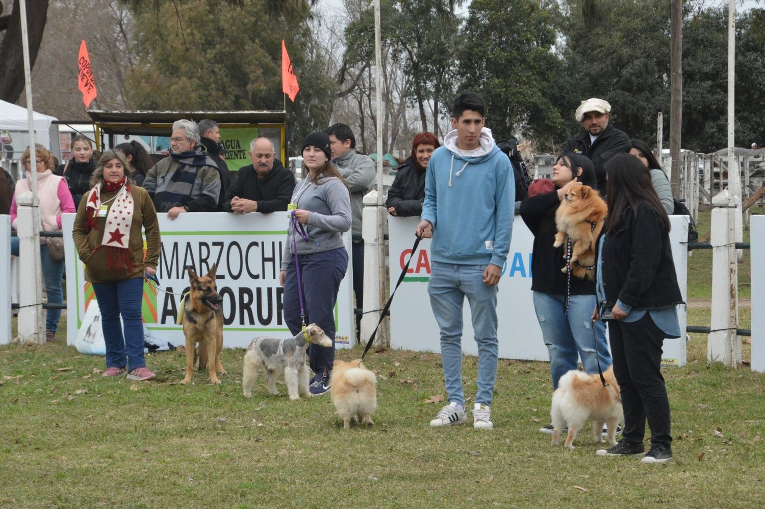 Paseo canino - 3