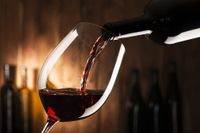 Realizarán un curso introductorio a la viticultura