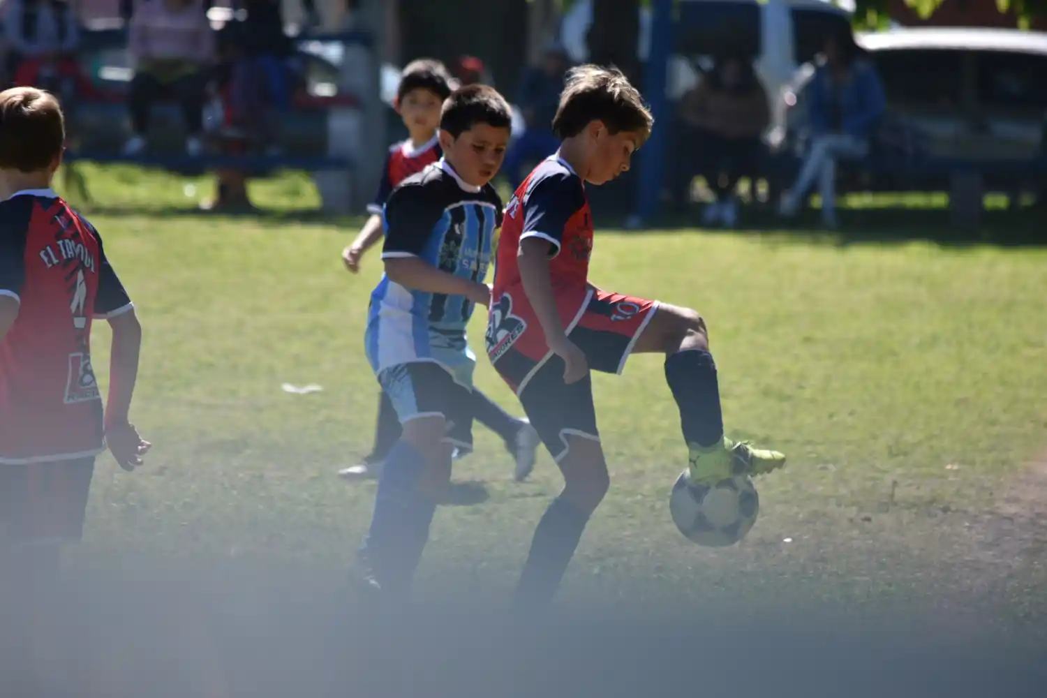 Así se juega el Torneo de Verano de la Liga Infantil, que arranca el jueves en Baradero