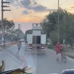 Jóvenes intentaron robar vacas de un camión en movimiento