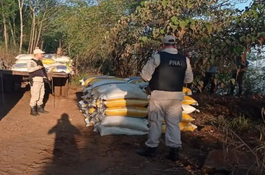 Megaoperativo en Misiones: Prefectura desarticuló una maniobra de exportación ilegal