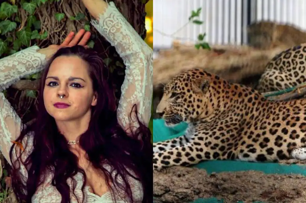 Un leopardo atacó a una modelo en plena sesión de fotos
