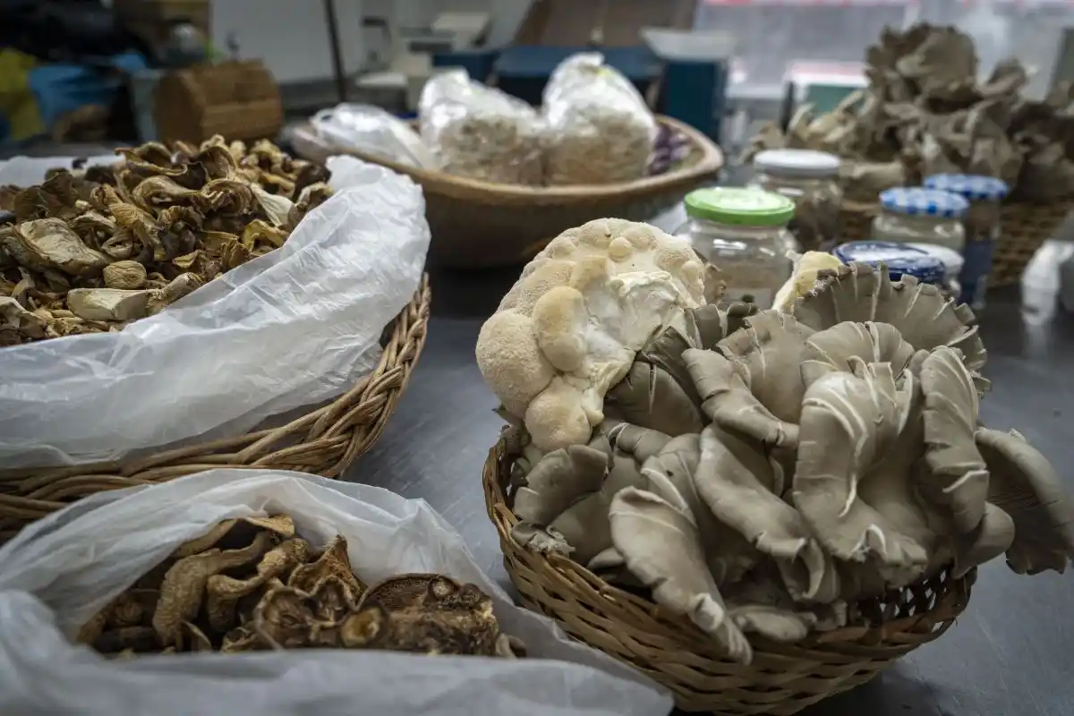 en la Estación Hidrobiológica