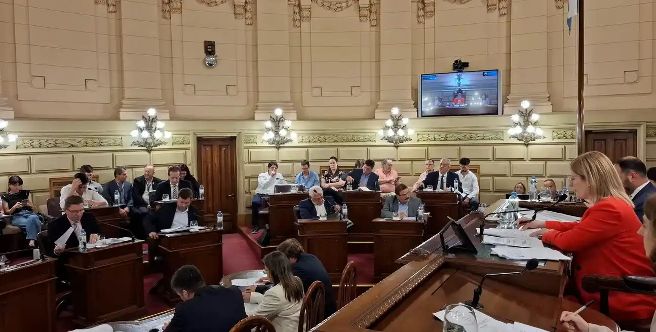 Cámara de Senadores, escenario de un interesante debate. Gentileza Cámara de Senadores