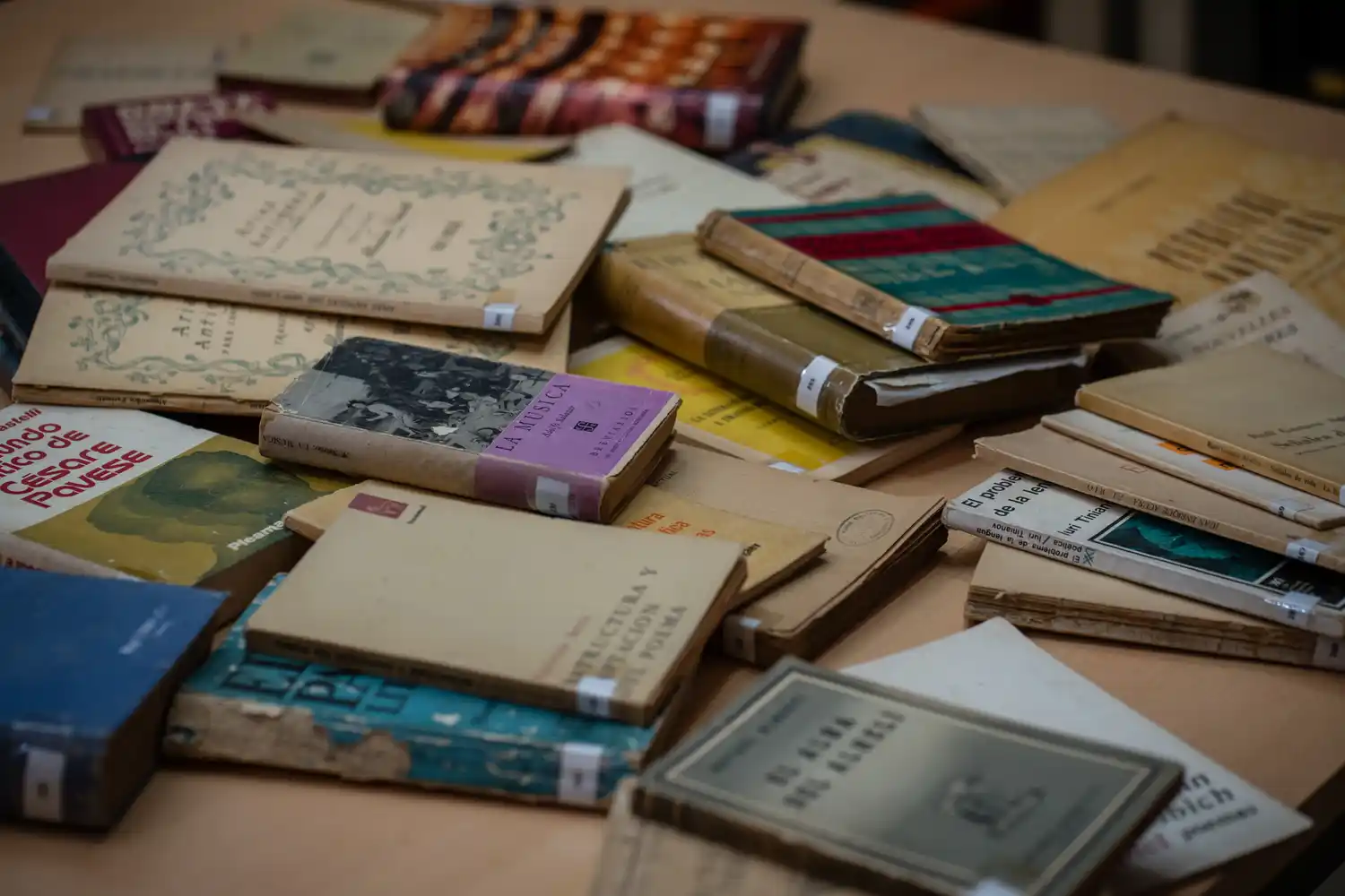 biblioteca personal de Juan Laurentino Ortiz