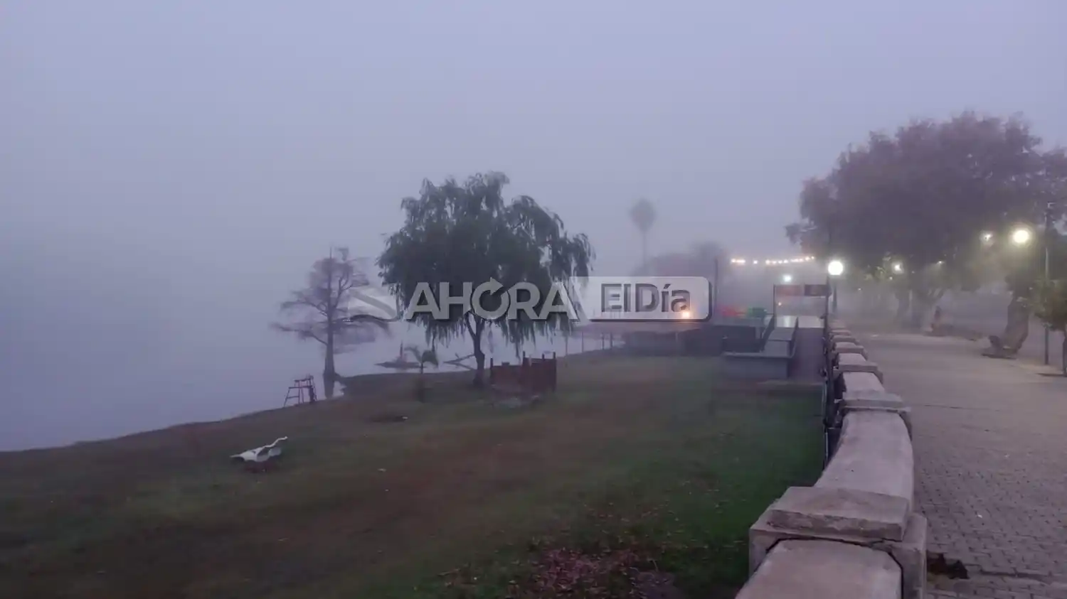 La ciudad amaneció con 1°C, neblina intensa y 100% de humedad